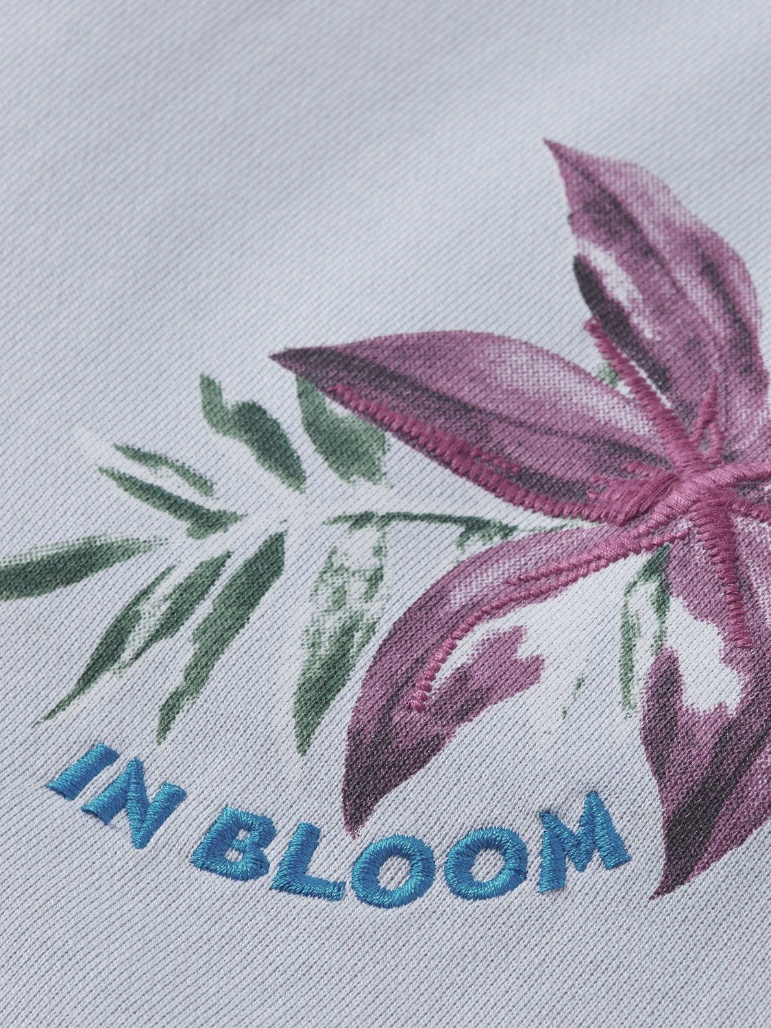 Scotch & Soda Organic Cotton In Bloom Jogger - Image 7